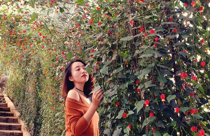 Ghé thăm những làng hoa cây cảnh nổi tiếng Việt Nam dịp giáp Tết để có ngay bộ ảnh rạng rỡ như hoa