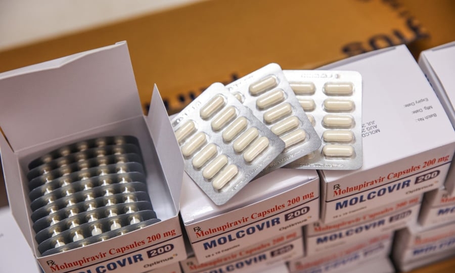 Bộ Y tế Molnupiravir ảnh hưởng đến tinh trùng thai nhi
