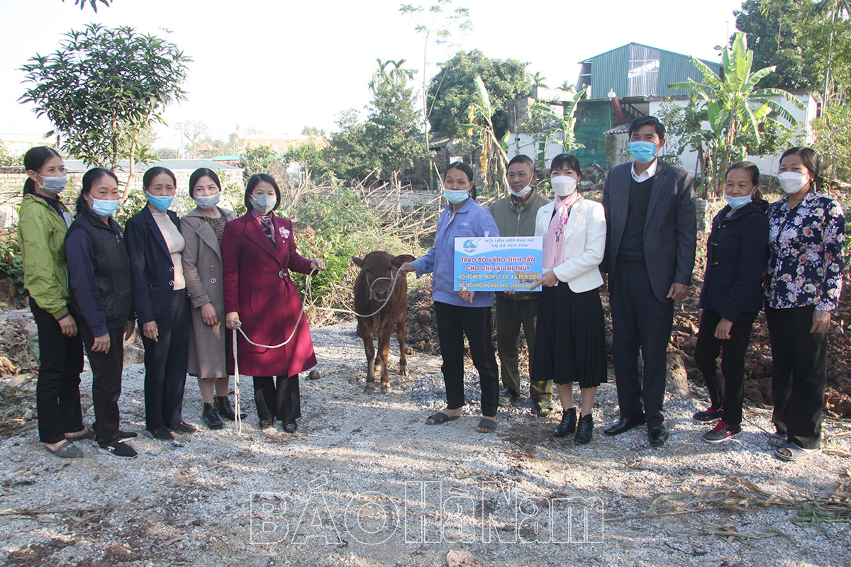 Hội LHPN Duy Tiên trao bò sinh sản cho hội viên phụ nữ nghèo