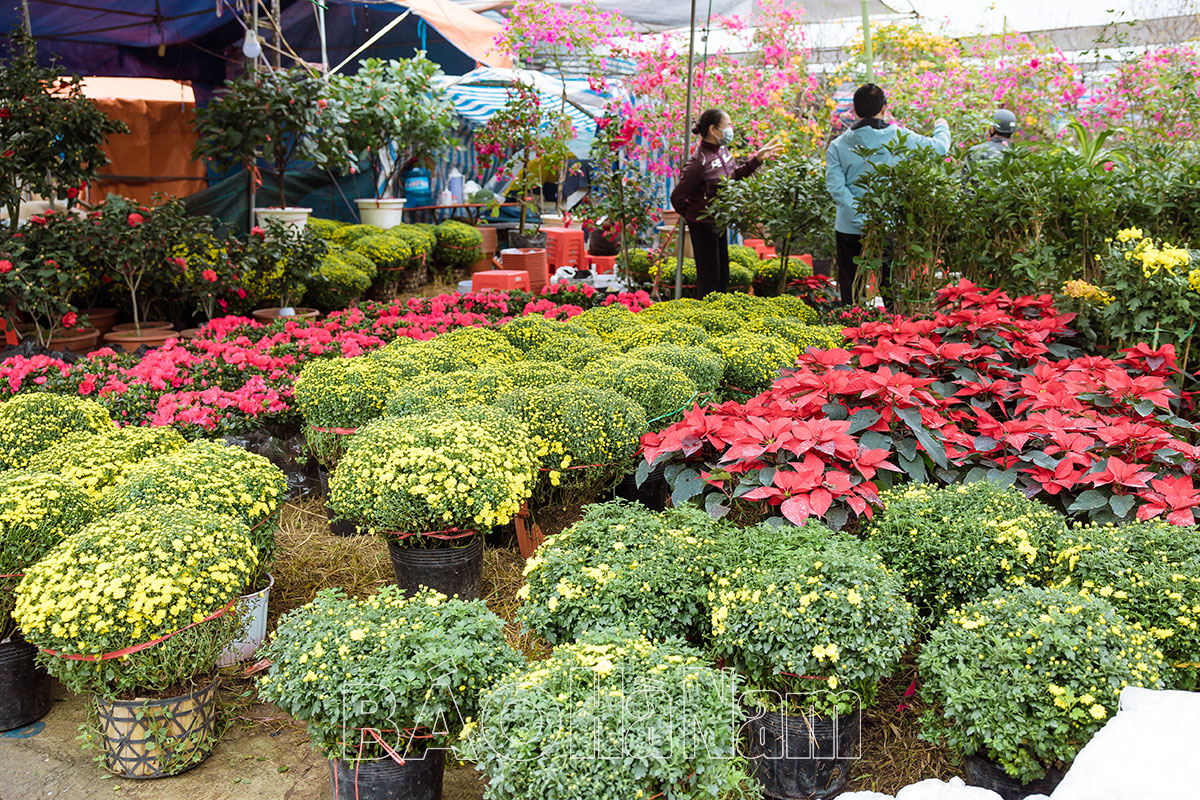 Chợ hoa Xuân Nhâm Dần 2022 đón nhiều lượt khách tới tham quan mua sắm
