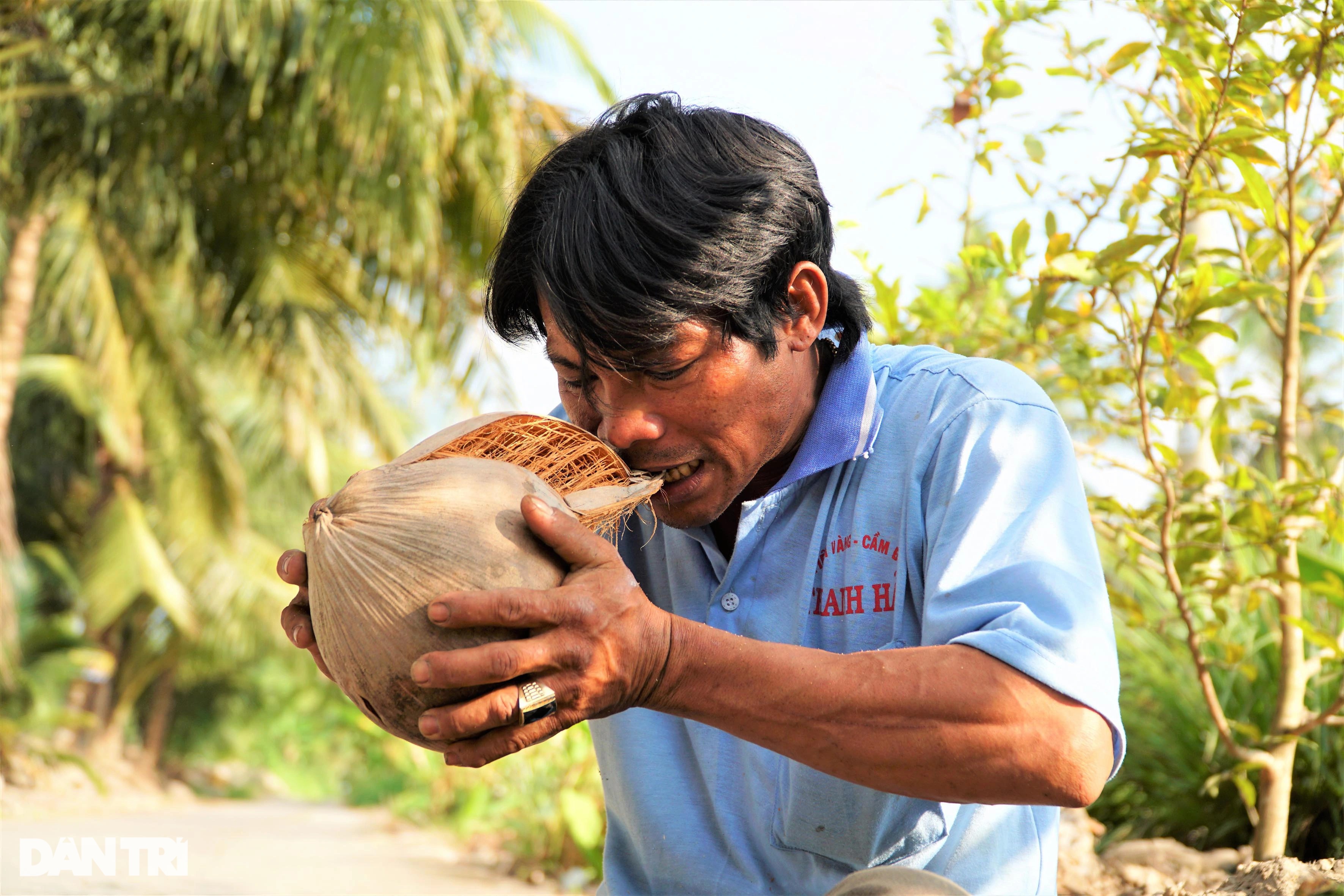 Thánh leo dừa nhanh như chớp lột vỏ bằng răng độc nhất ở miền Tây