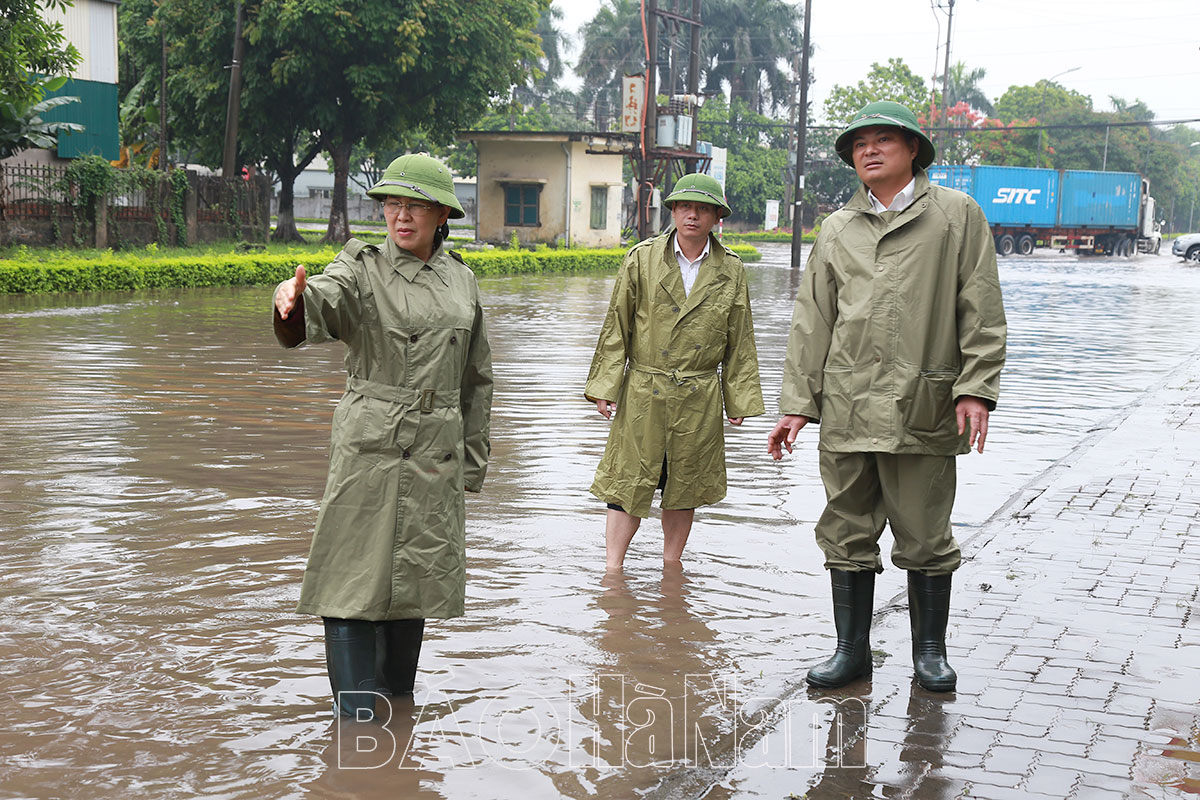 Đồng chí Bí thư Tỉnh ủy kiểm tra tình hình mưa úng