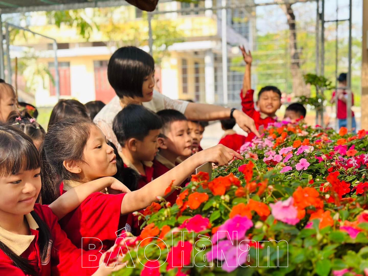 Giáo dục phát huy tiềm năng cá nhân tại Trường Tiểu học Nguyễn Tất Thành
