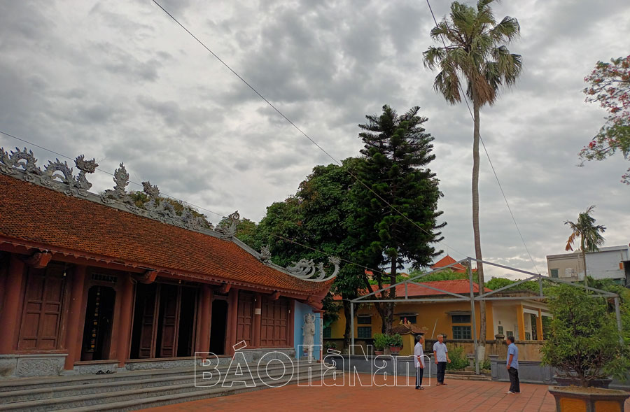 Cây Cọ Xẻ đình làng Nguyễn An Đổ được công nhận cây di sản Việt Nam