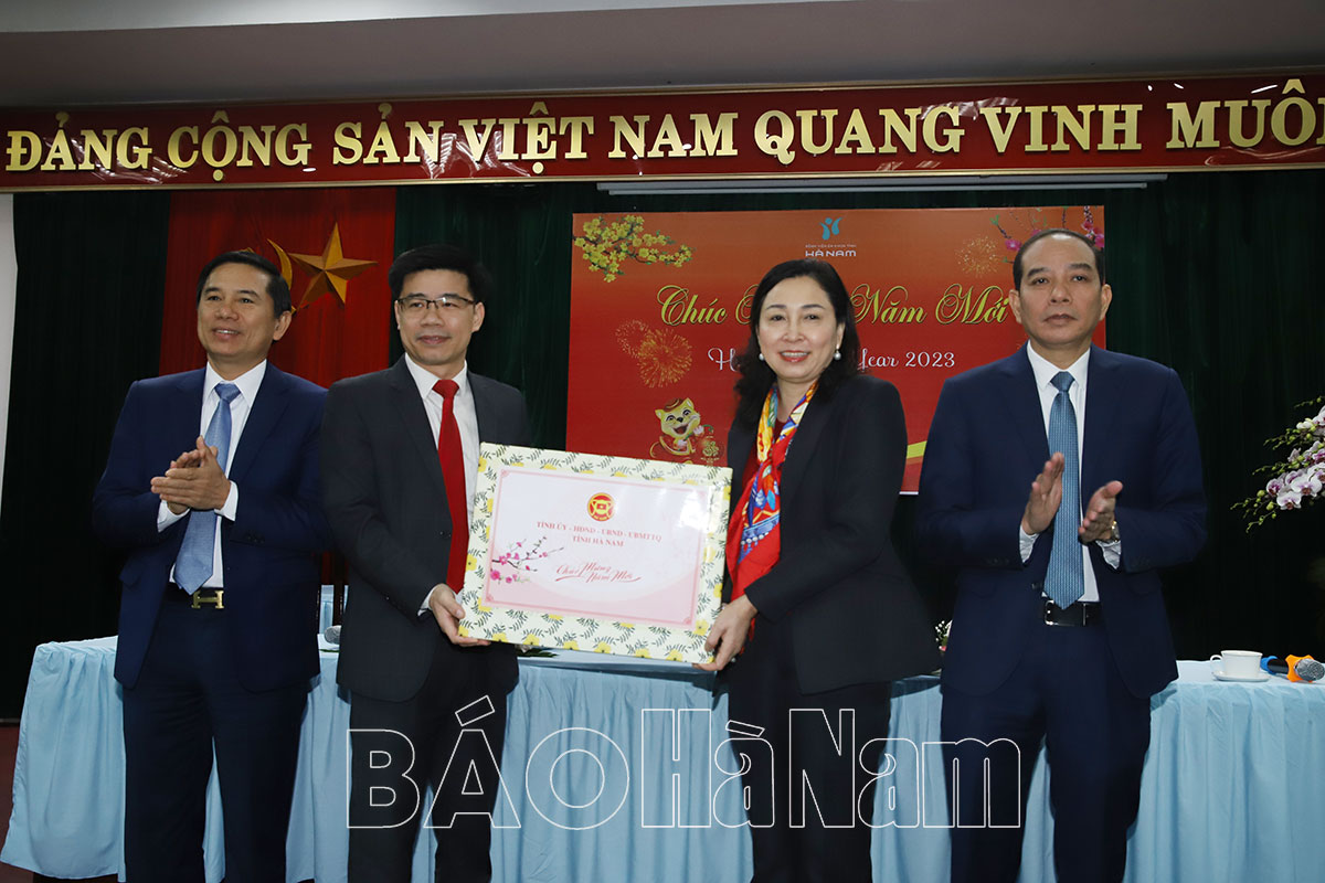 Đồng chí Phó Bí thư Thường trực Tỉnh ủy Đinh Thị Lụa thăm chúc Tết BVĐK tỉnh Điện lực Hà Nam