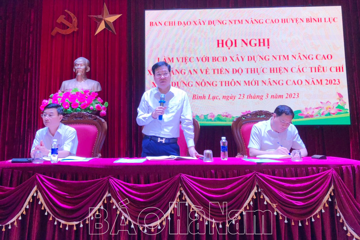 BCĐ xây dựng NTM nâng cao huyện Bình Lục làm việc với BCĐ xây dựng NTM nâng cao xã Tràng An về tiến độ thực hiện các tiêu chí xây dựng NTM nâng cao năm 2023