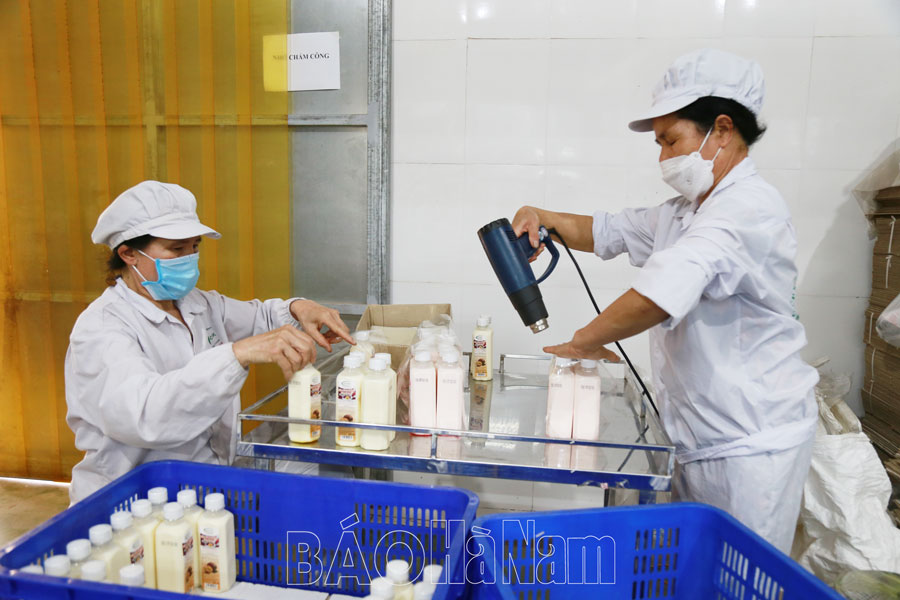 Thị xã Duy Tiên đẩy mạnh phát triển sản xuất nông nghiệp