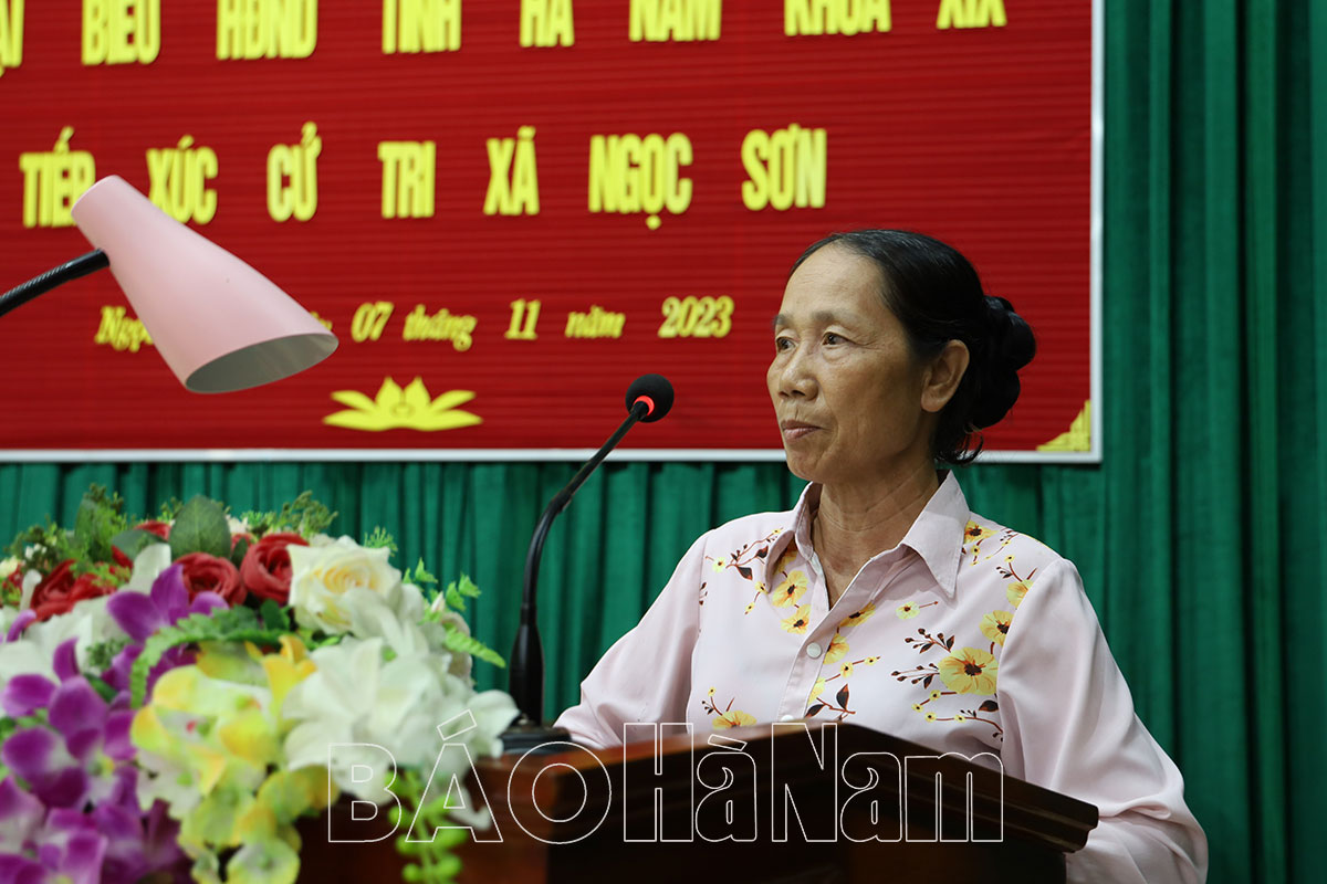 Đại biểu HĐND tỉnh tiếp tục chương trình tiếp xúc cử tri tại các huyện Bình Lục Kim Bảng và thành phố Phủ Lý